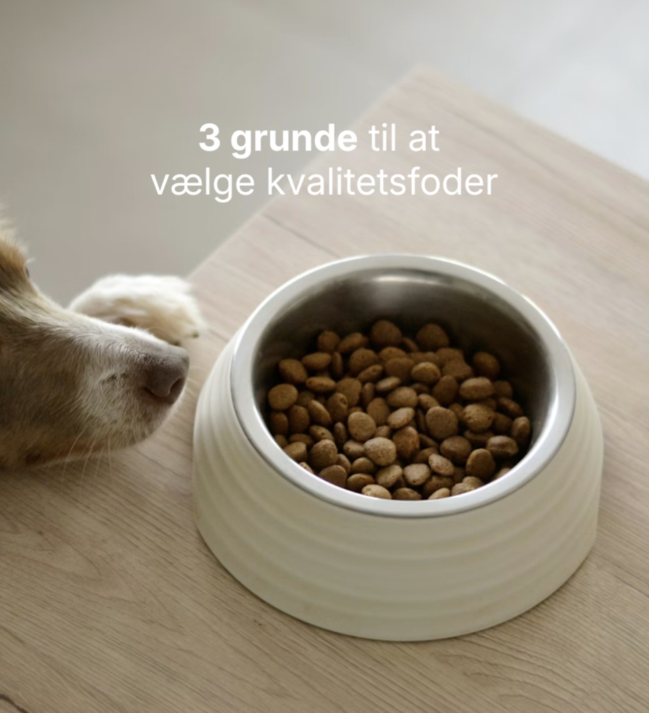 Hvorfor vælge kvalitetsfoder? (Instagram)