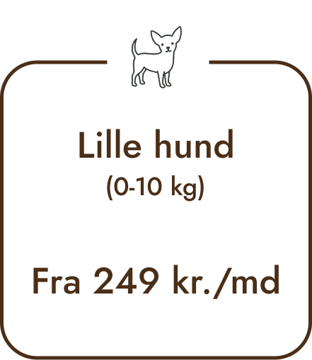 Lille hund foderpris