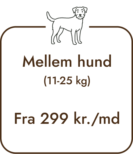 Mellem hund foderpris