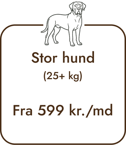 Stor hund foderpris